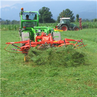Hay Rakes - Rotary Front Mount by Fransgard